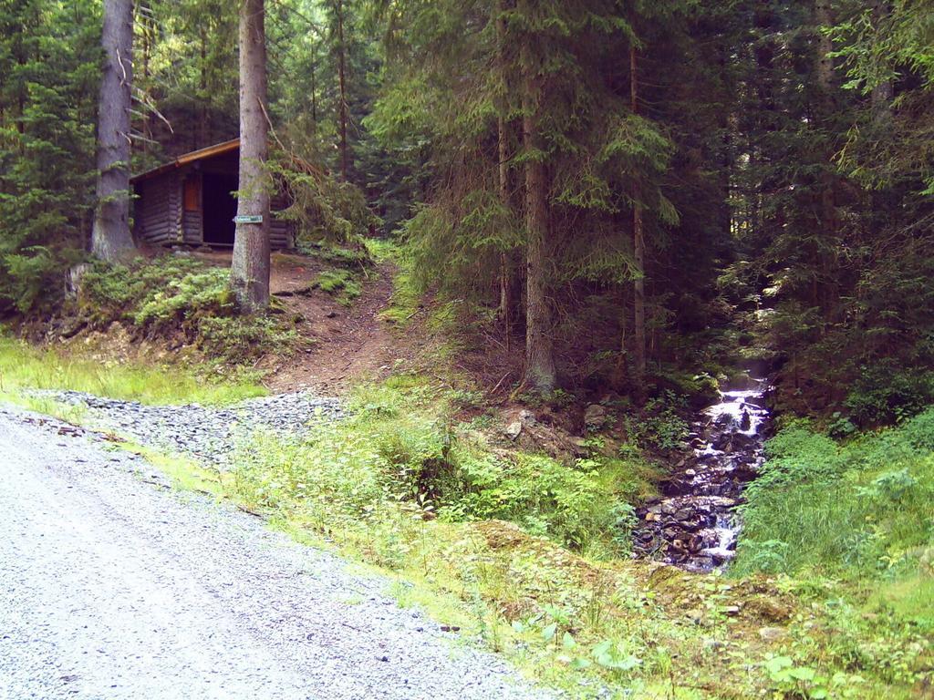 Ferienwohnung Reisinger Arnbruck Zewnętrze zdjęcie